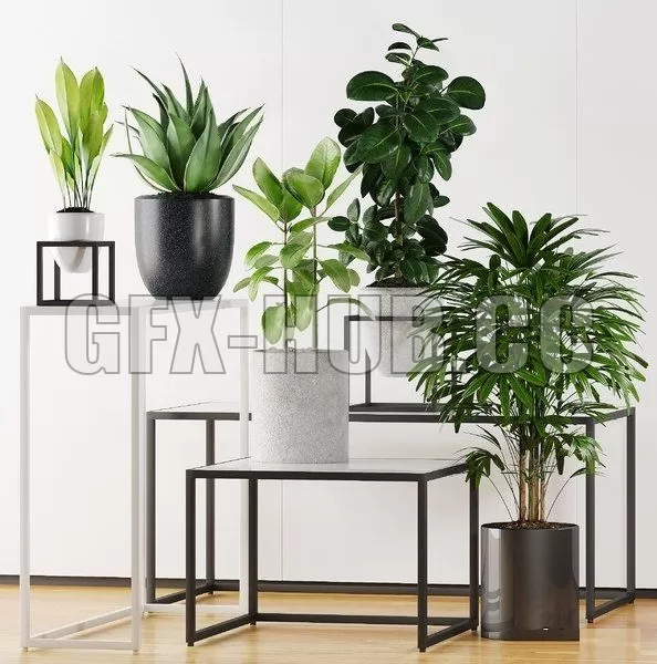 FURNITURE 3D MODELS – Plants 203 FURNITURE 3D MODELS – Plants 203