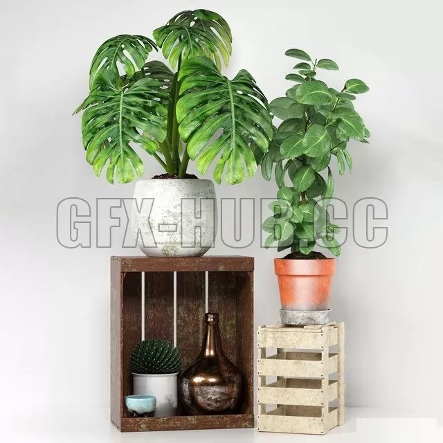 FURNITURE 3D MODELS – Plants 204 FURNITURE 3D MODELS – Plants 204