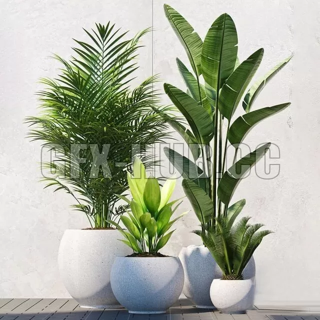 FURNITURE 3D MODELS – Plants 208 FURNITURE 3D MODELS – Plants 208