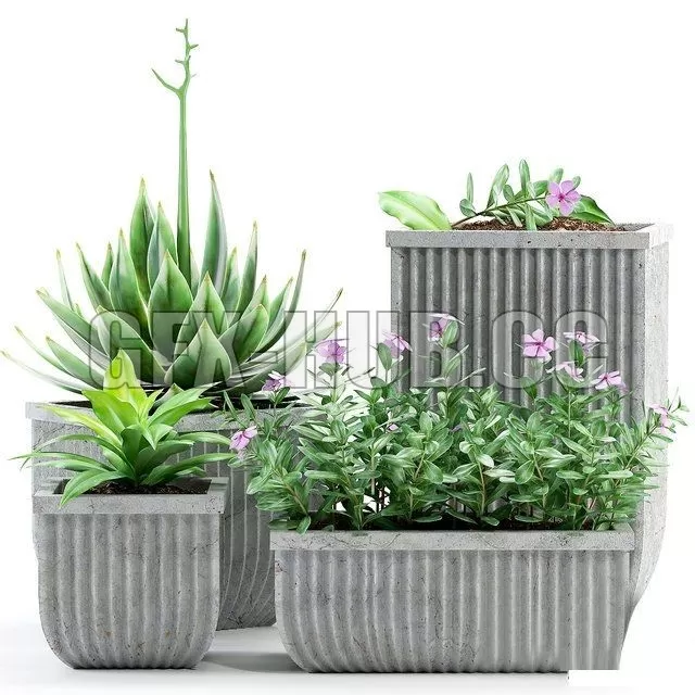 FURNITURE 3D MODELS – Plants 209 FURNITURE 3D MODELS – Plants 209