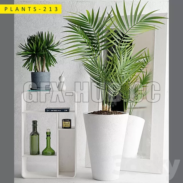 FURNITURE 3D MODELS – Plants 213 with palm FURNITURE 3D MODELS – Plants 213 with palm