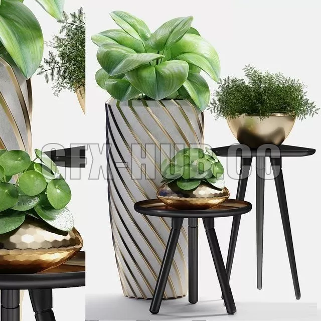 FURNITURE 3D MODELS – Plants 217 FURNITURE 3D MODELS – Plants 217