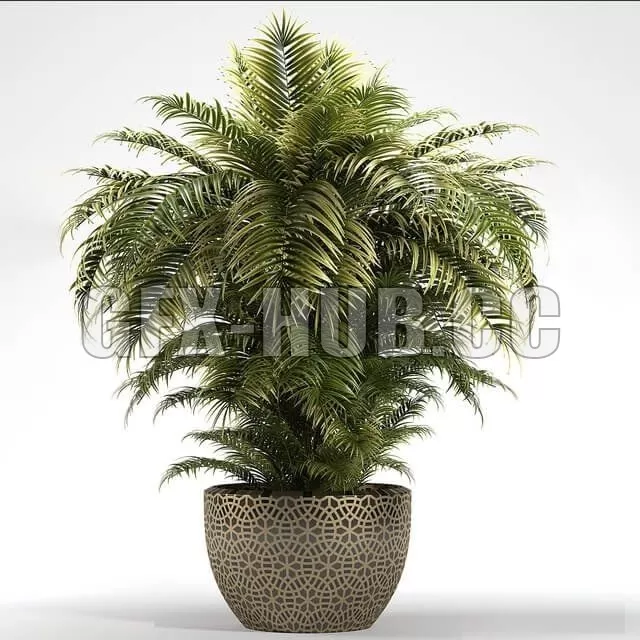 FURNITURE 3D MODELS – Plants 222 FURNITURE 3D MODELS – Plants 222