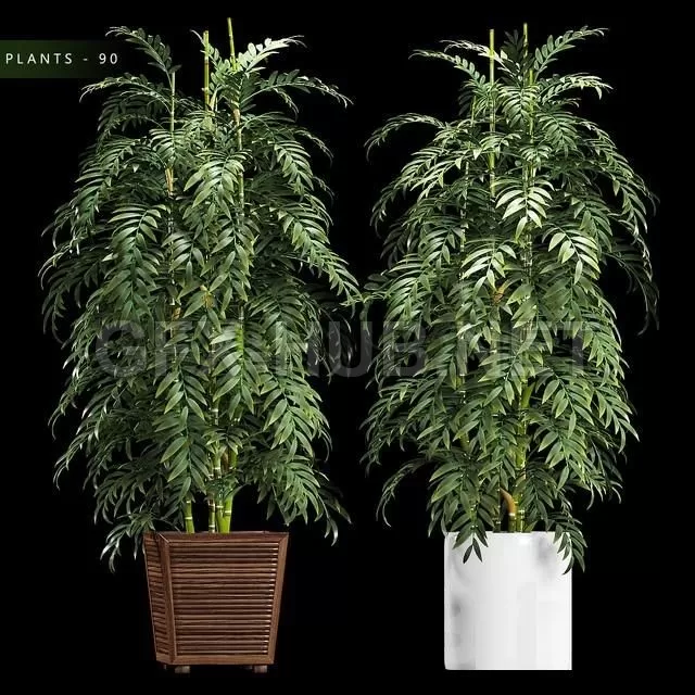FURNITURE 3D MODELS – PLANTS 90 FURNITURE 3D MODELS – PLANTS 90