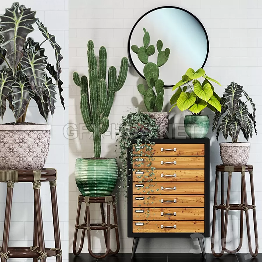 FURNITURE 3D MODELS – Plants collection 123