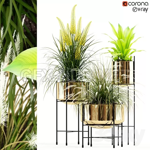 FURNITURE 3D MODELS – Plants collection 146 AGATA