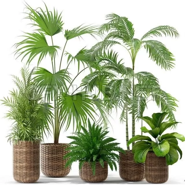FURNITURE 3D MODELS – Plants collection 338