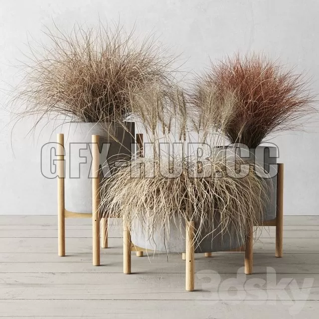 FURNITURE 3D MODELS – Sedge in Concrete Pots