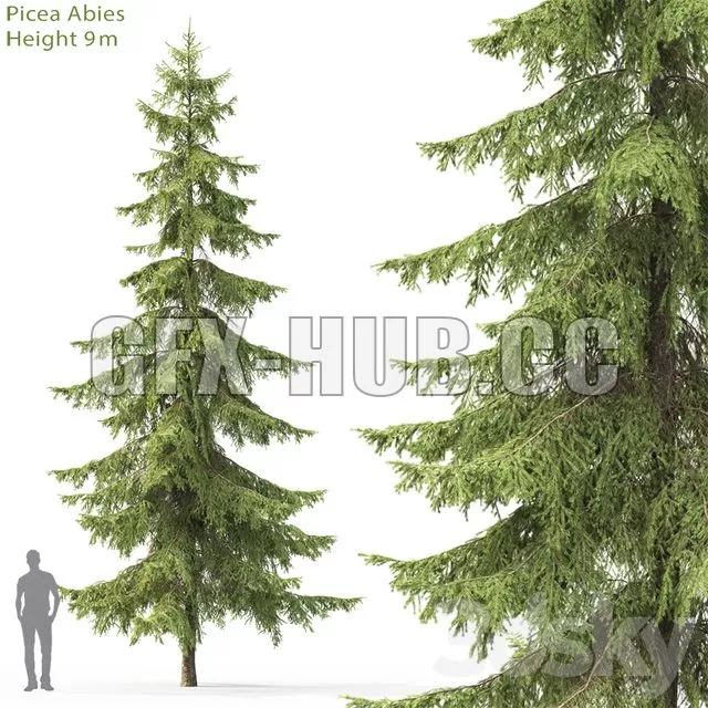 FURNITURE 3D MODELS – Spruce 4