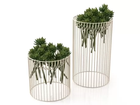 FURNITURE 3D MODELS – Succulents