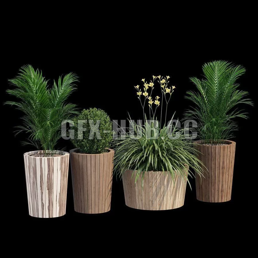 FURNITURE 3D MODELS – Tennis Plants