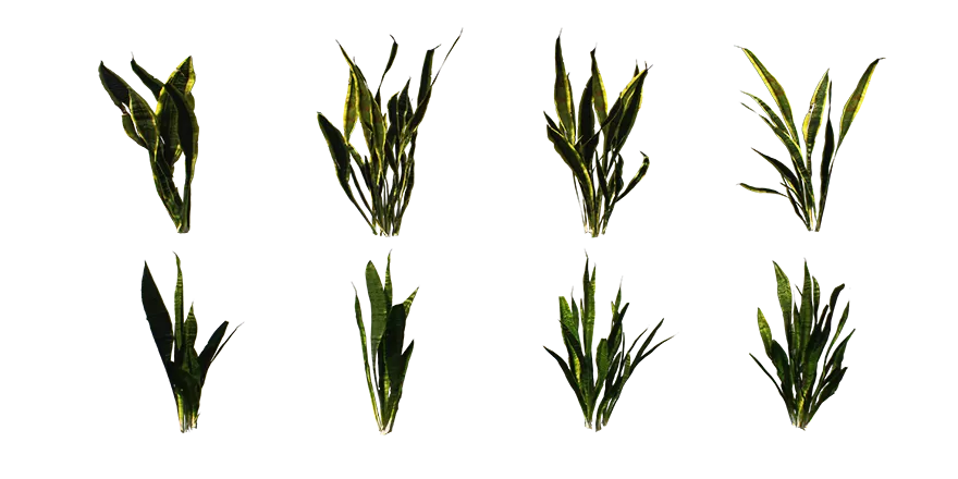 PLANT – 3D MODELS – DOWNLOAD – 007