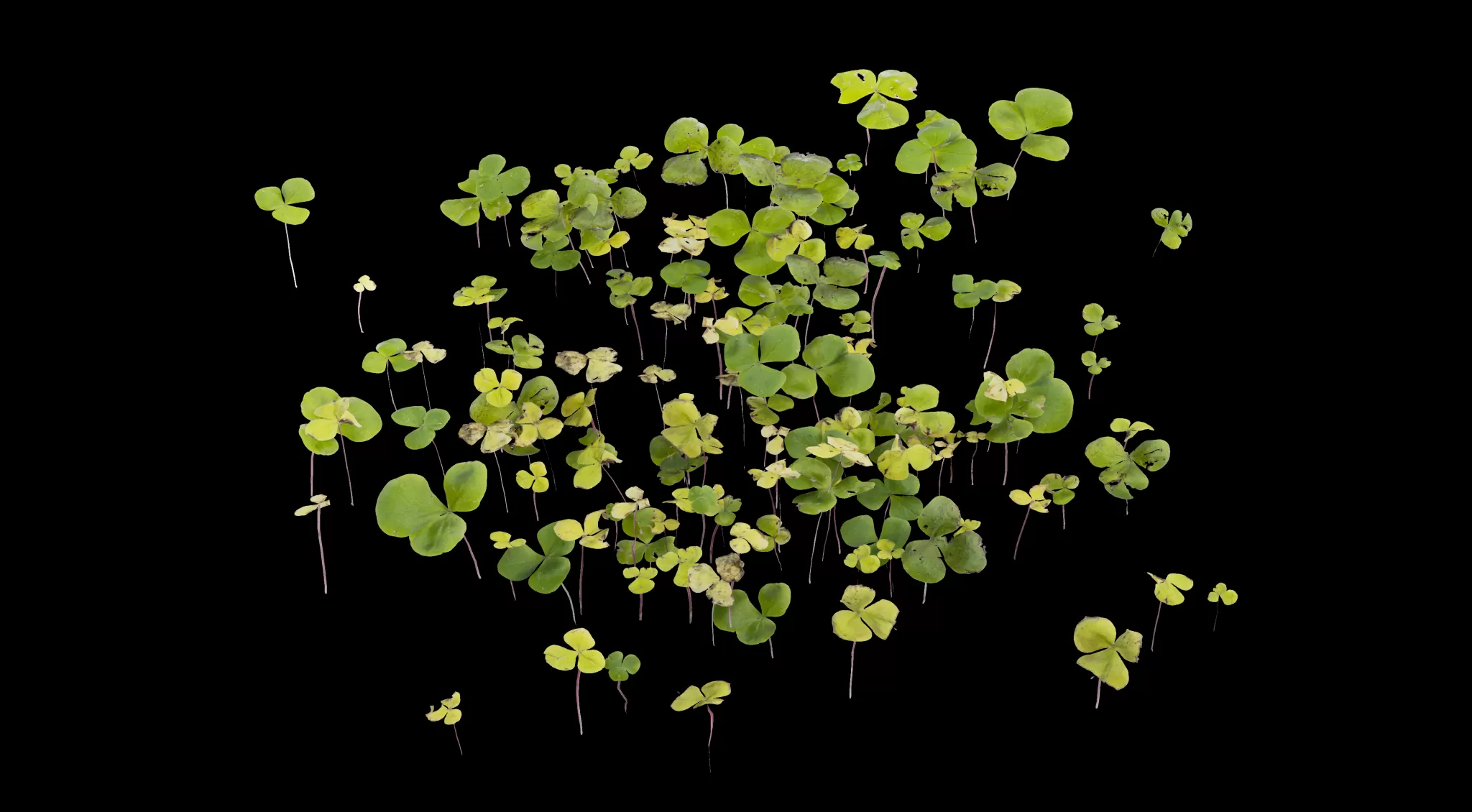 PLANT – 3D MODELS – DOWNLOAD – 015