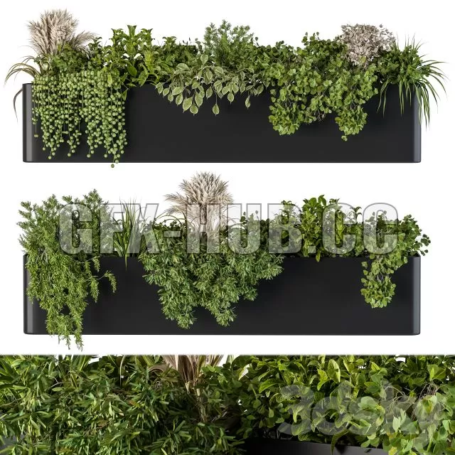 CAR – Plant Box on Wall 04 3D Model