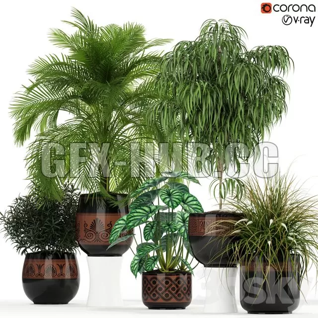 CAR – Plants Collection 182 3D Model