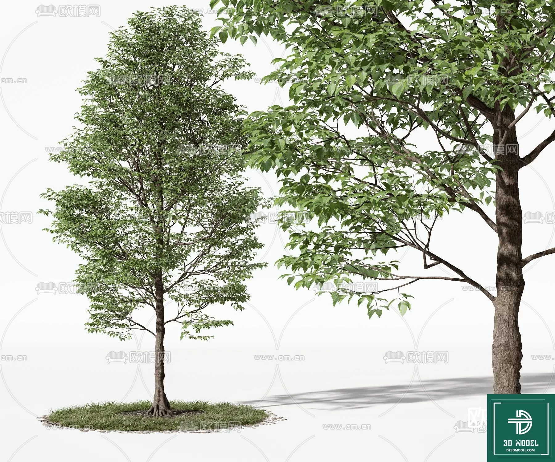 EXTERIOR – TREE – 3D MODELS – 001