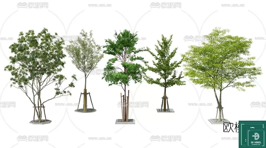 EXTERIOR – TREE – 3D MODELS – 002
