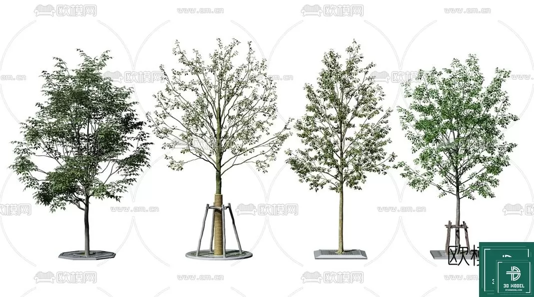EXTERIOR – TREE – 3D MODELS – 003