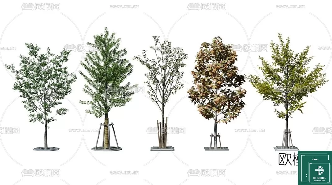 EXTERIOR – TREE – 3D MODELS – 004
