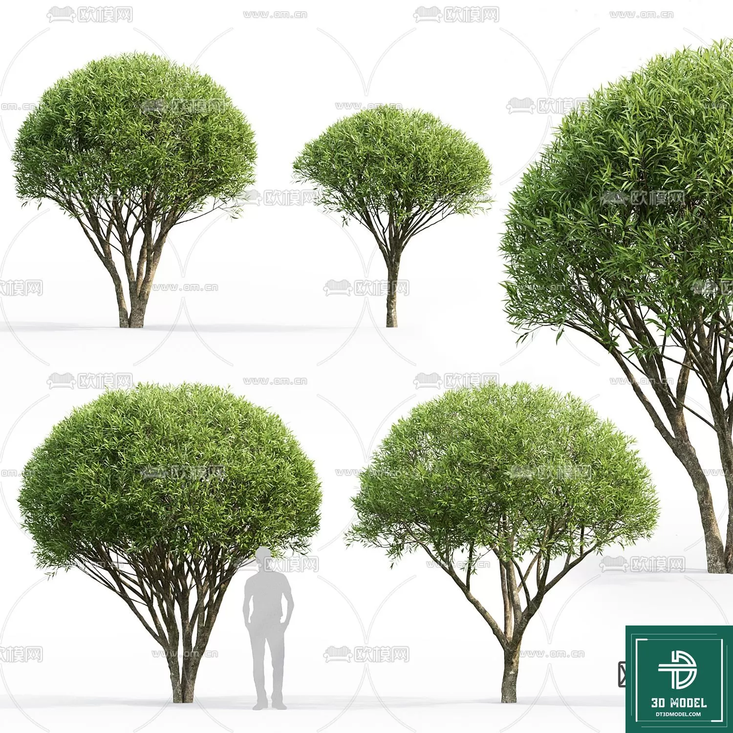 EXTERIOR – TREE – 3D MODELS – 006
