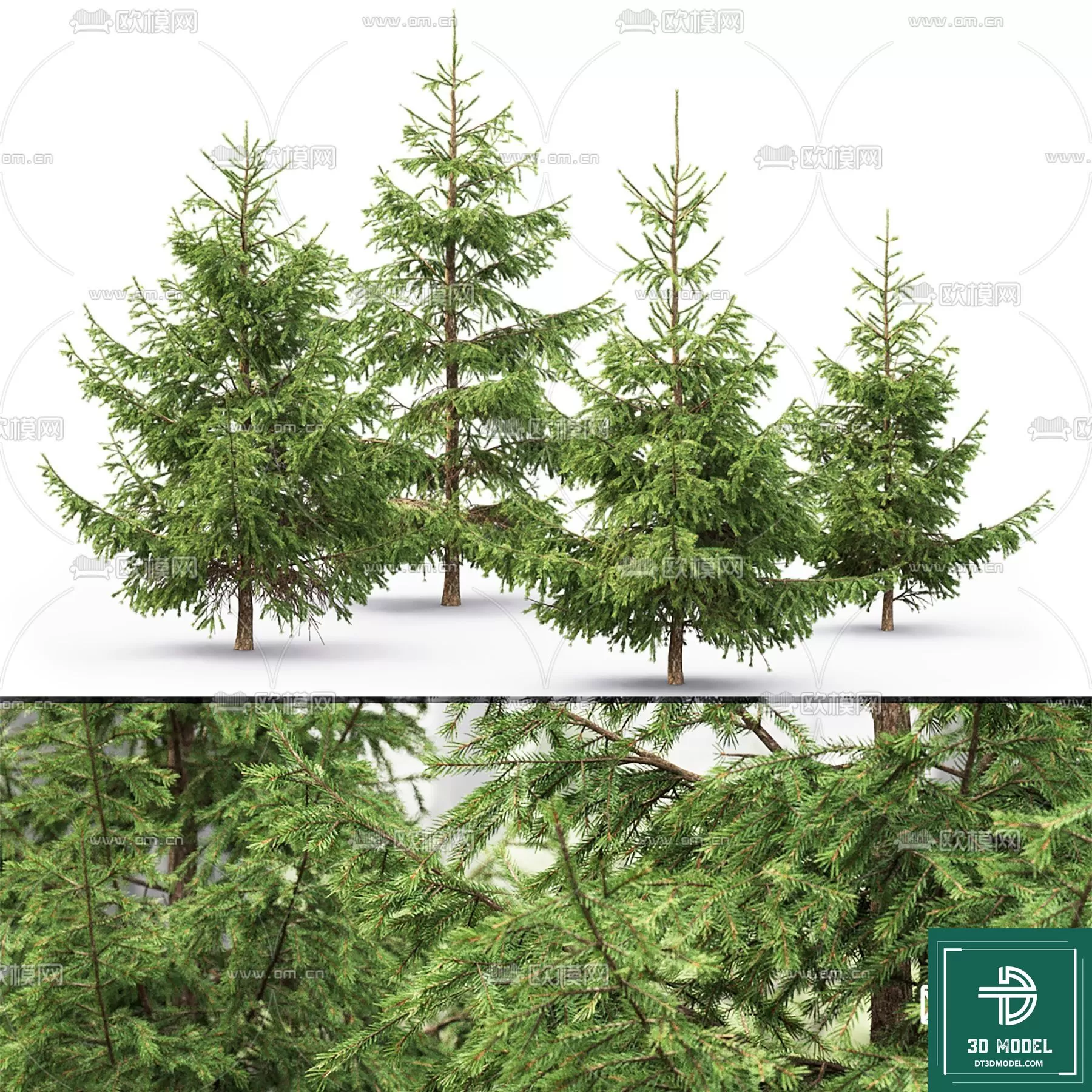 EXTERIOR – TREE – 3D MODELS – 007