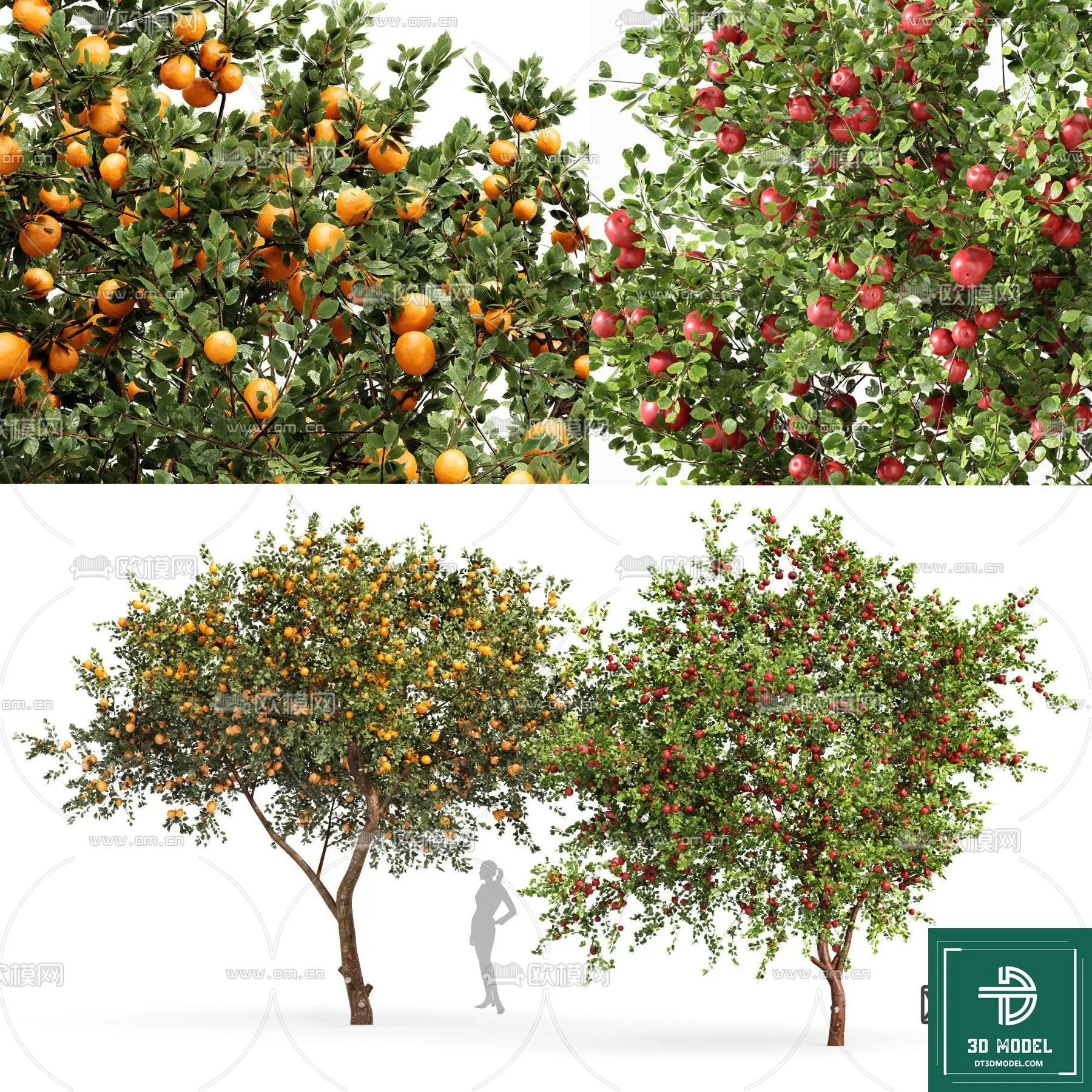 EXTERIOR – TREE – 3D MODELS – 010