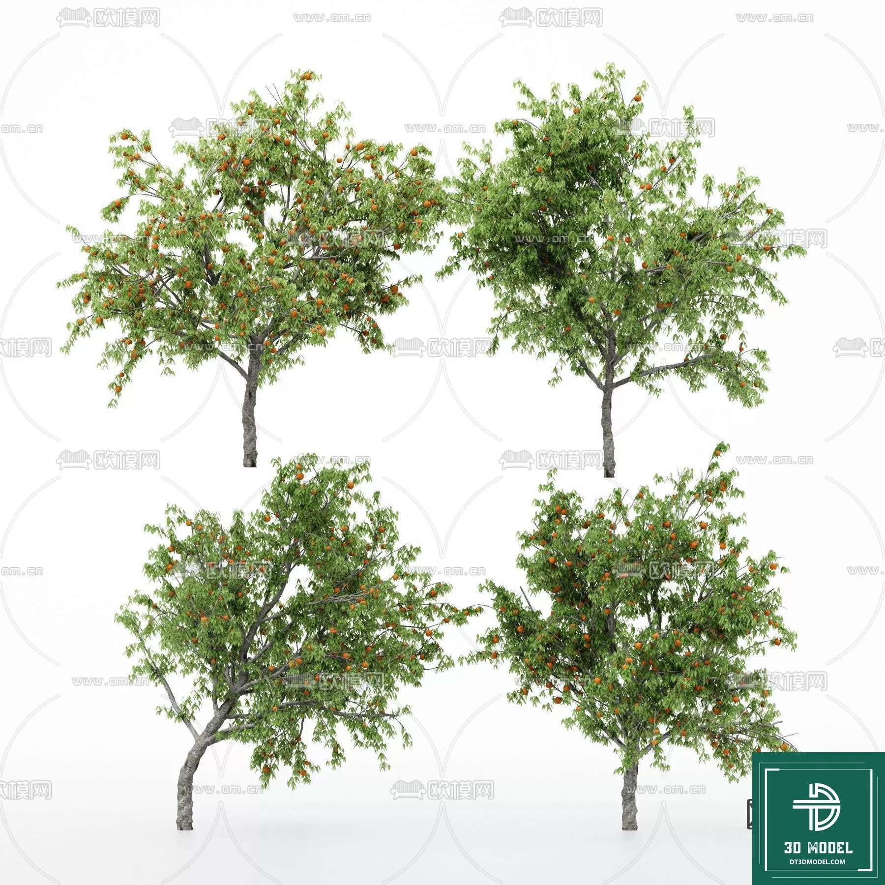 EXTERIOR – TREE – 3D MODELS – 014