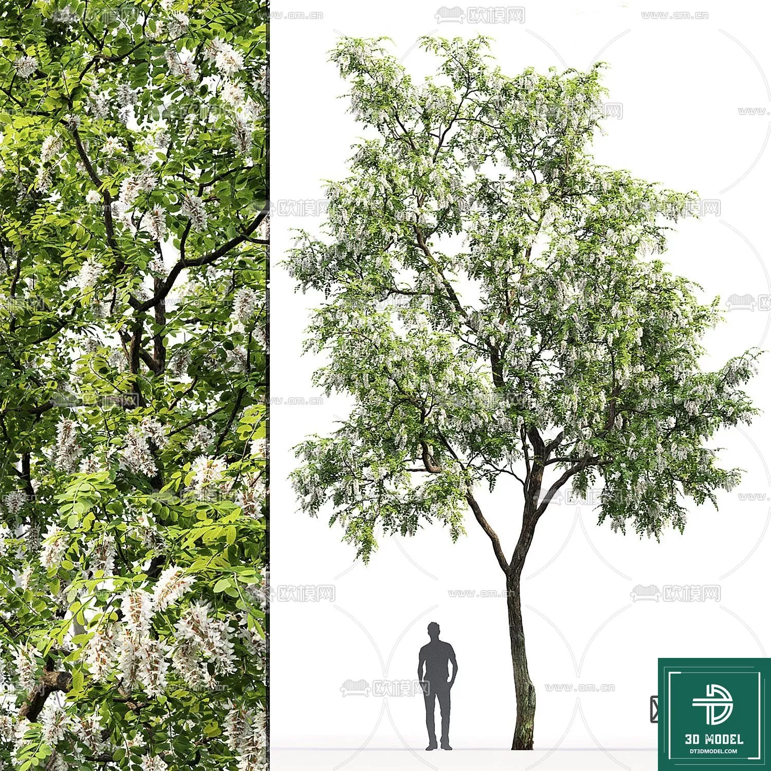 EXTERIOR – TREE – 3D MODELS – 015