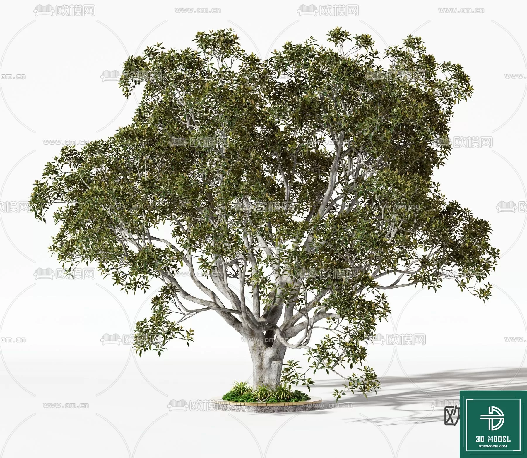 EXTERIOR – TREE – 3D MODELS – 021