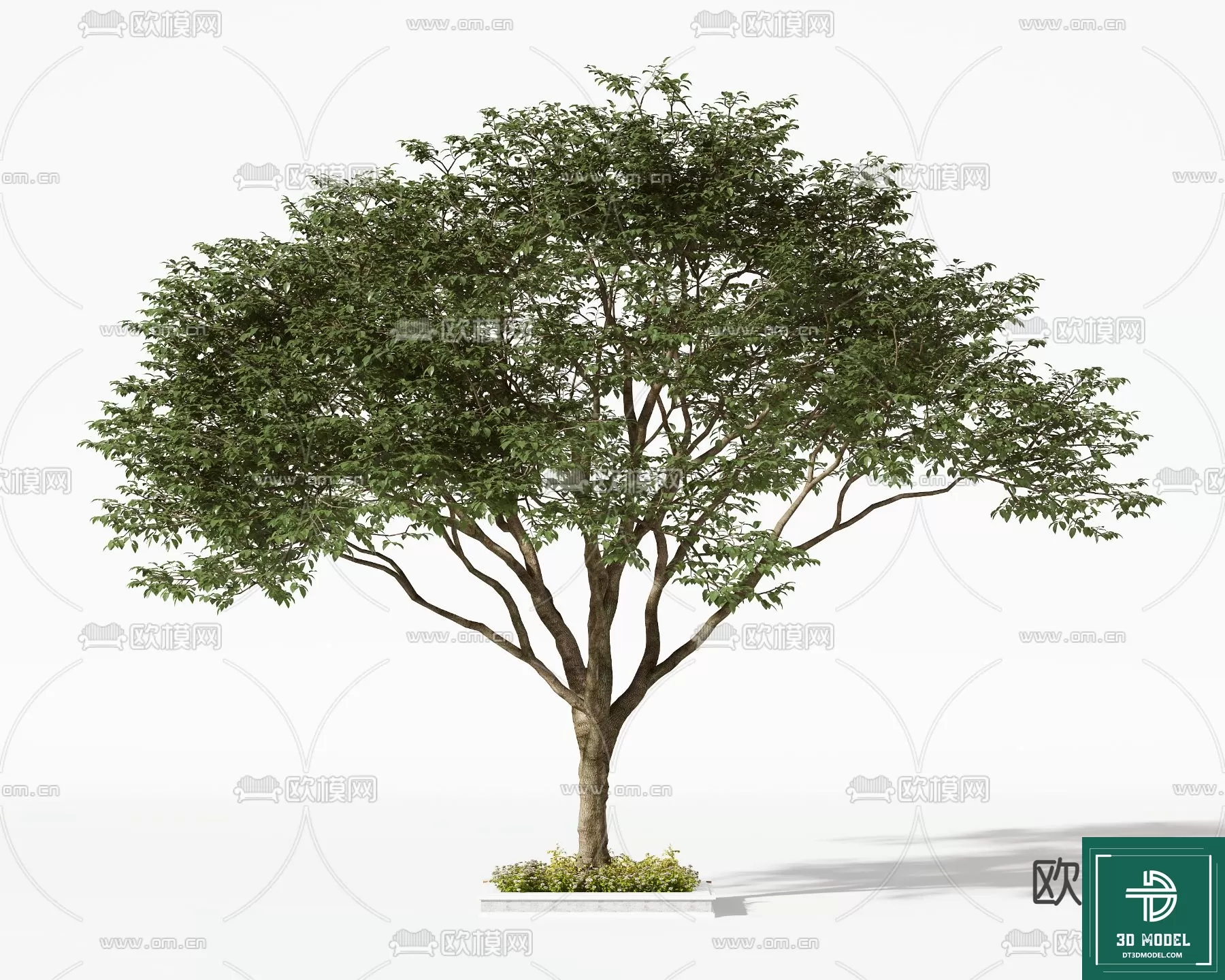 EXTERIOR – TREE – 3D MODELS – 023