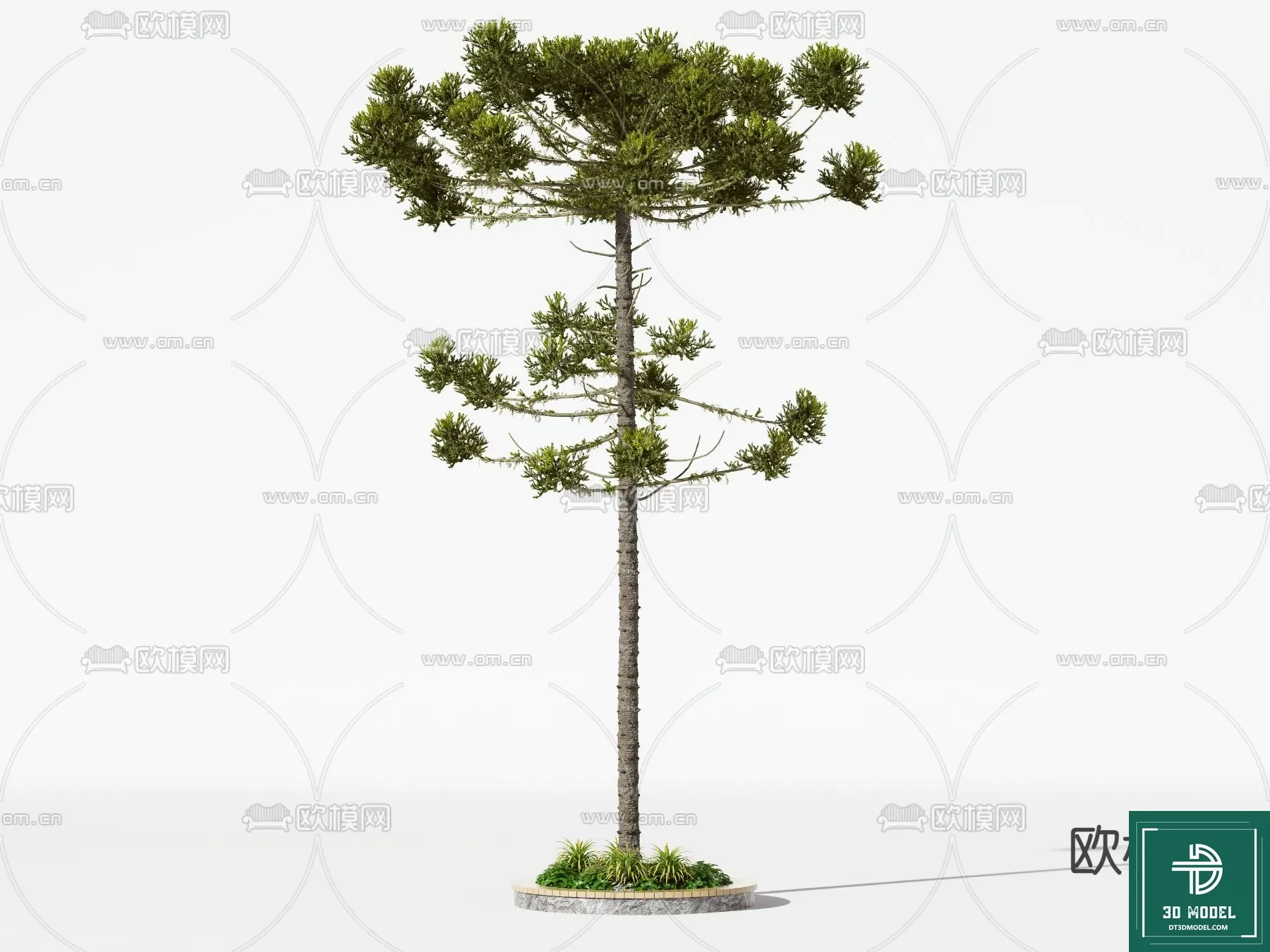 EXTERIOR – TREE – 3D MODELS – 024