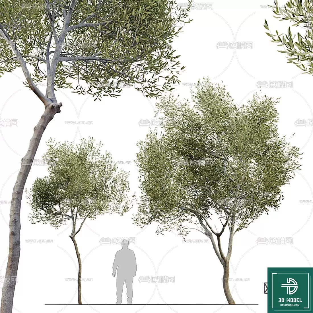 EXTERIOR – TREE – 3D MODELS – 027