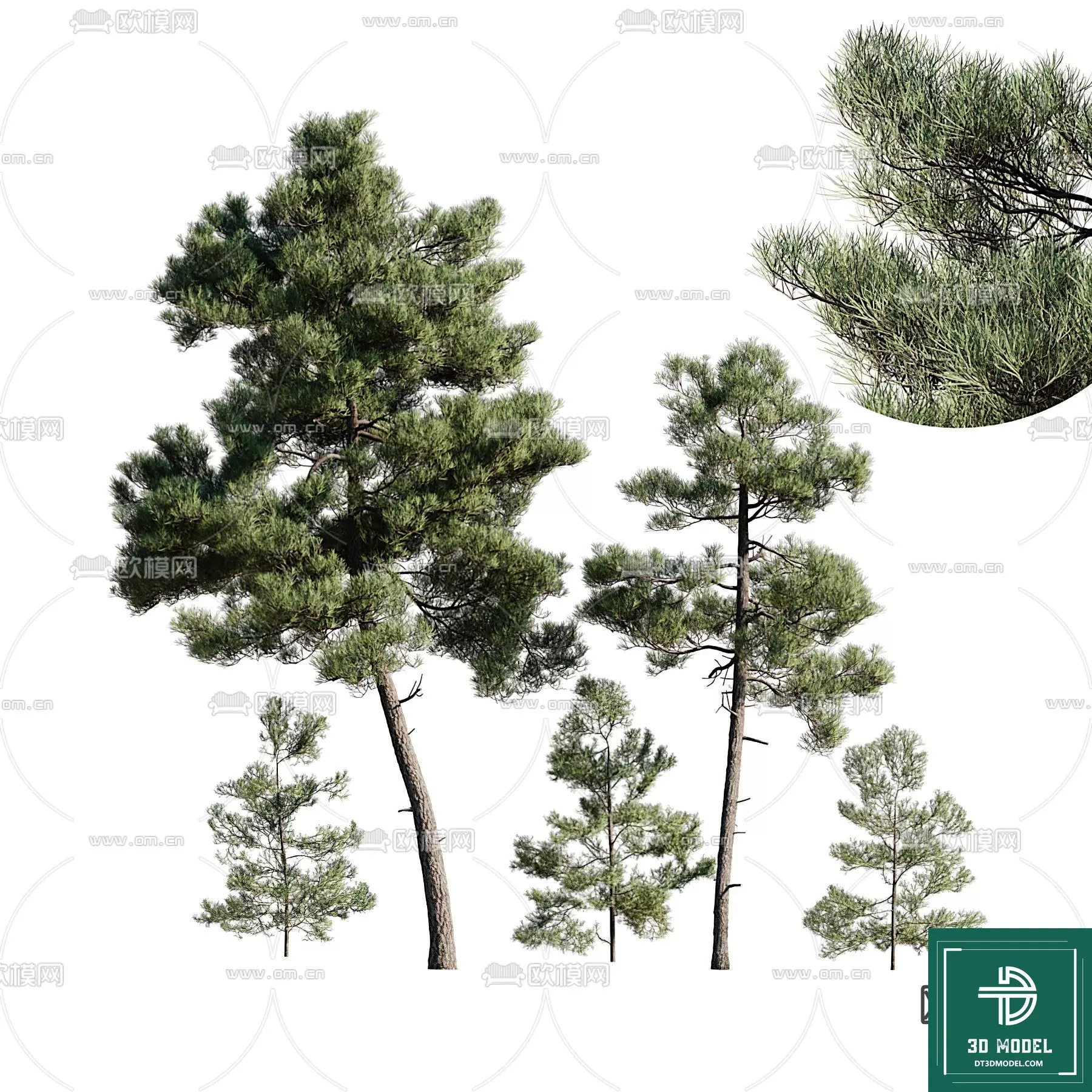 EXTERIOR – TREE – 3D MODELS – 028