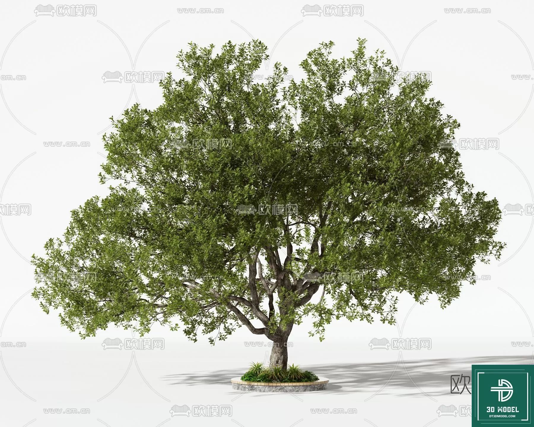 EXTERIOR – TREE – 3D MODELS – 032