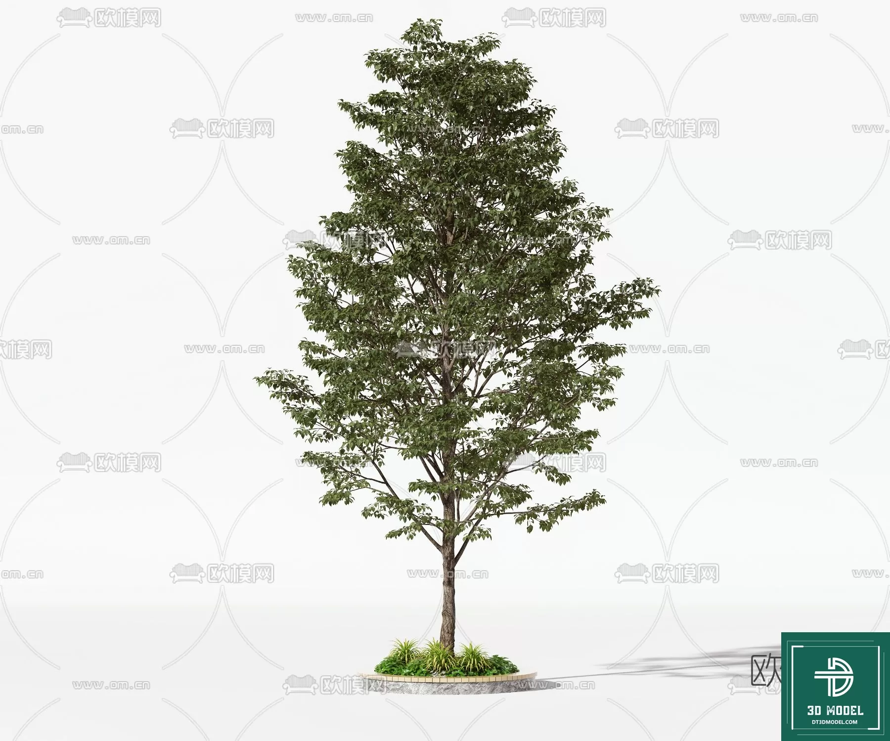EXTERIOR – TREE – 3D MODELS – 034