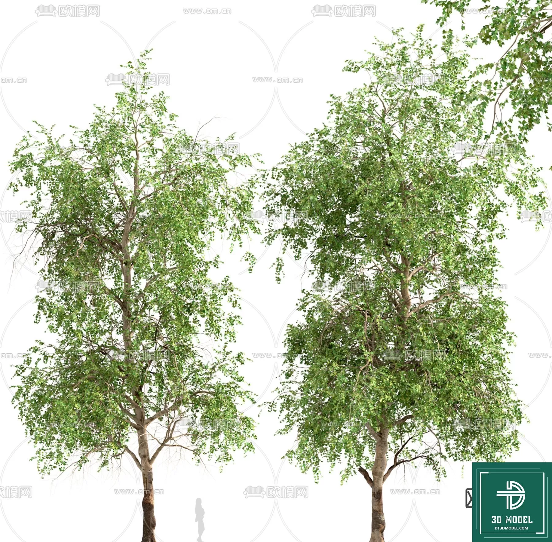 EXTERIOR – TREE – 3D MODELS – 035