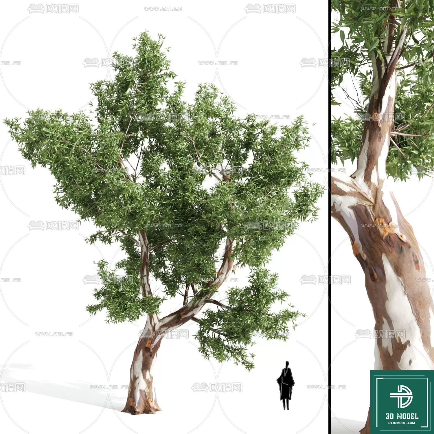 EXTERIOR – TREE – 3D MODELS – 037