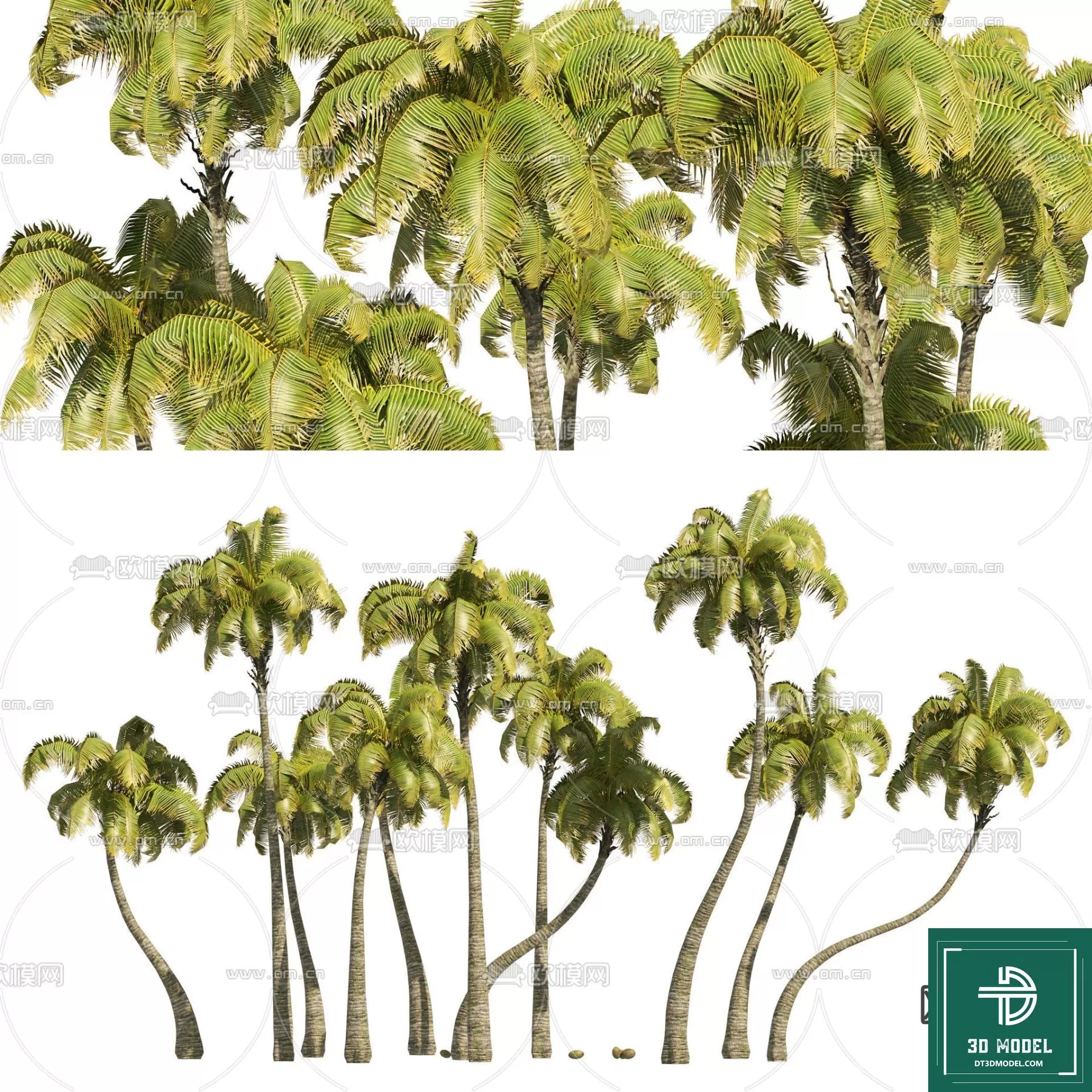 EXTERIOR – TREE – 3D MODELS – 038