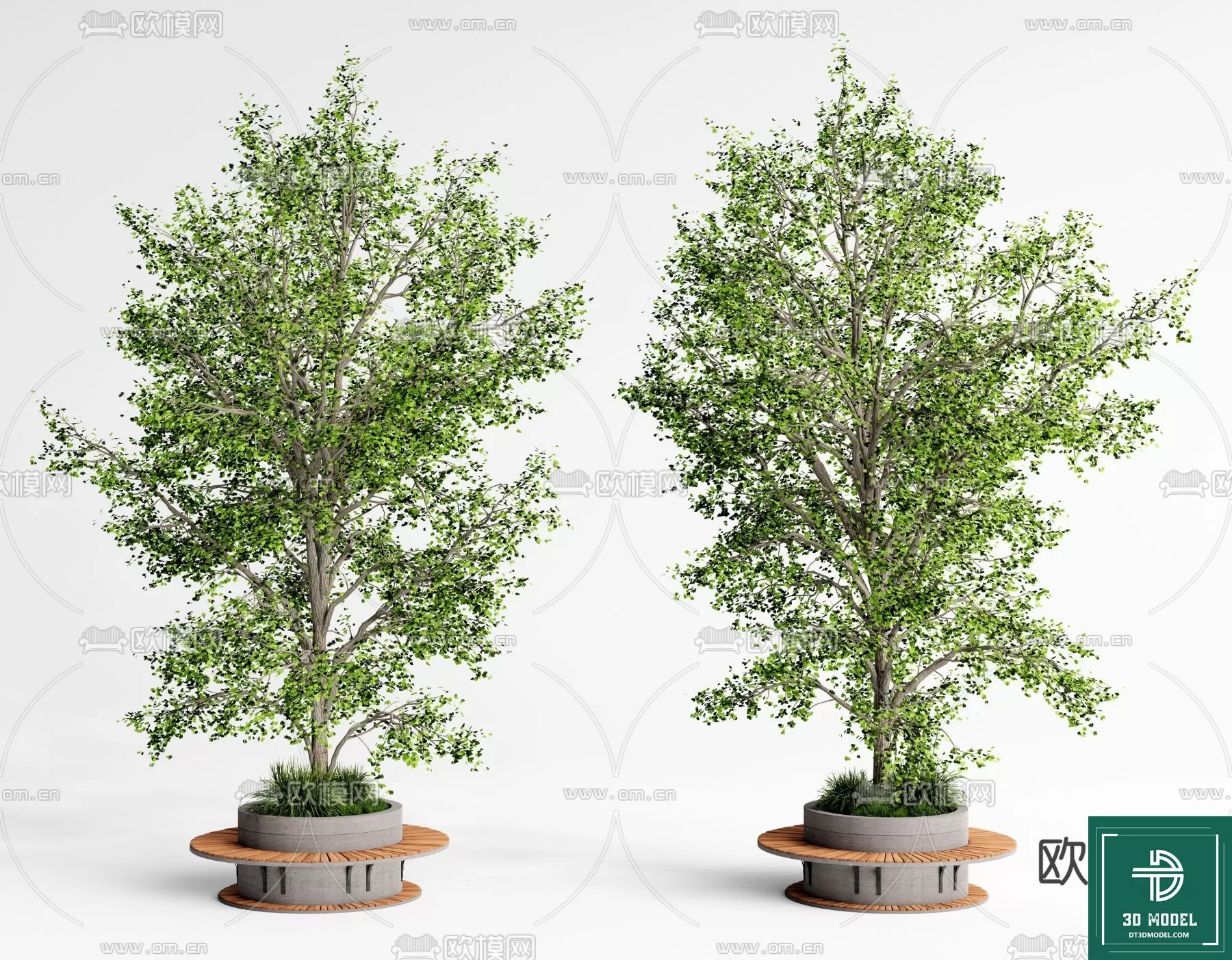 EXTERIOR – TREE – 3D MODELS – 039