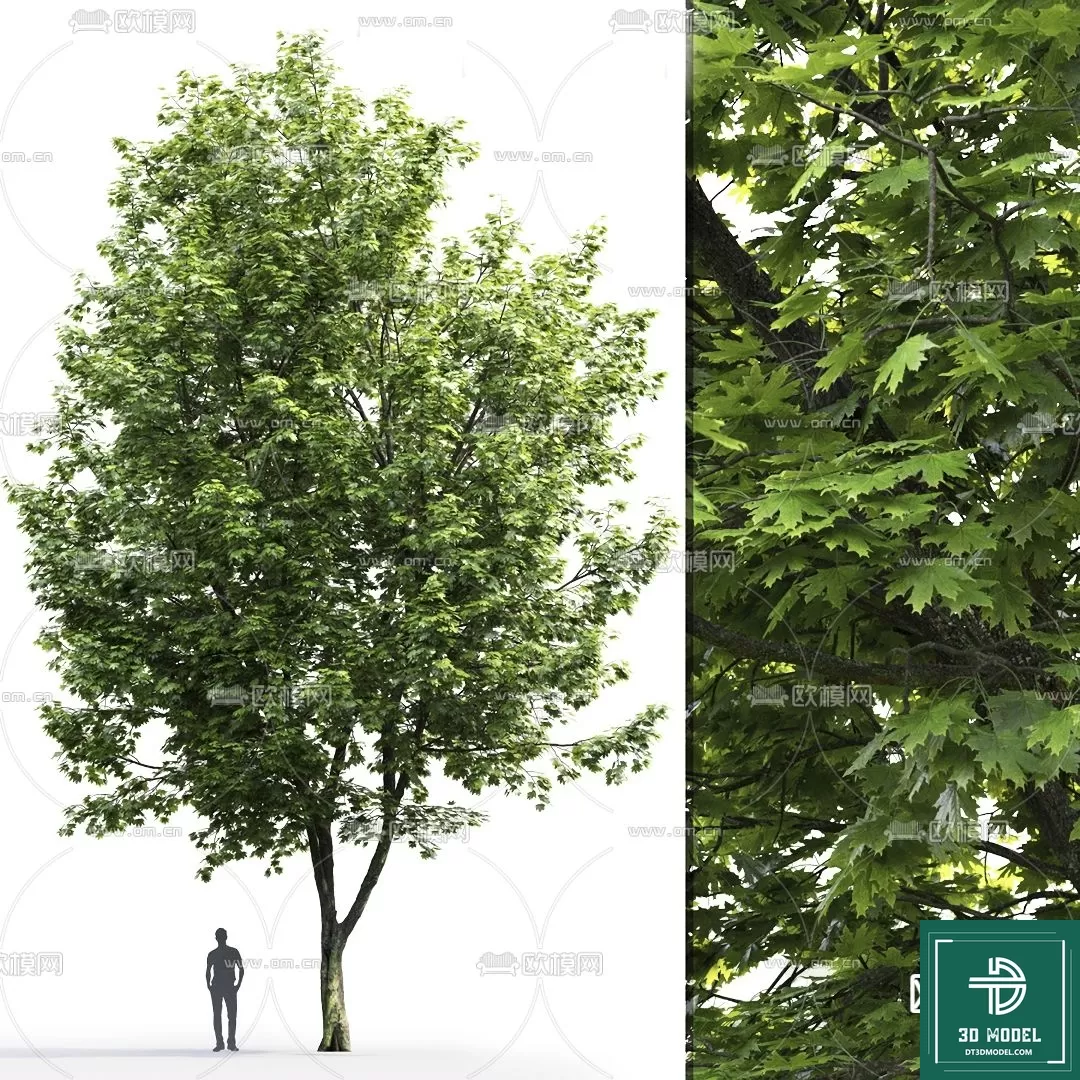 EXTERIOR – TREE – 3D MODELS – 046