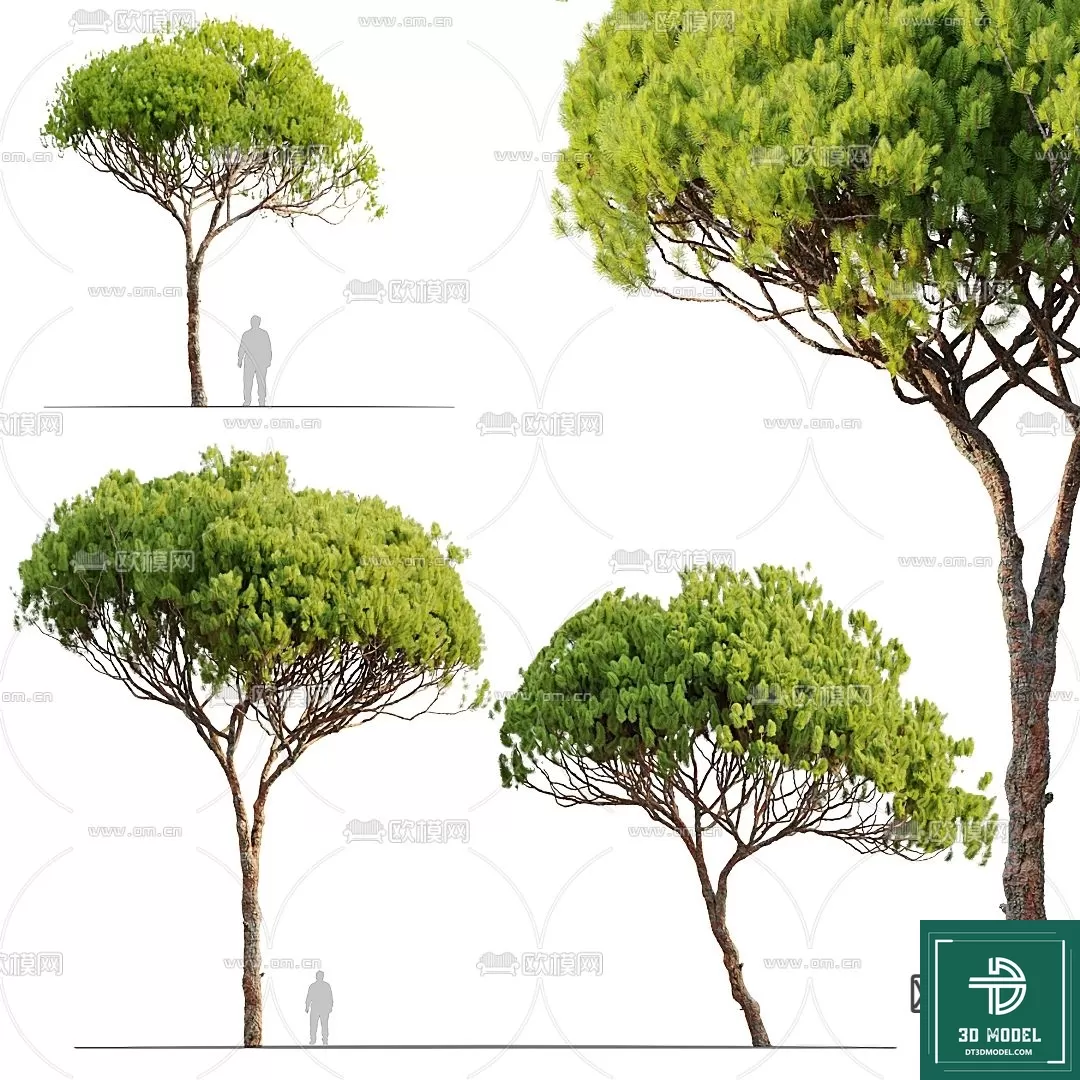 EXTERIOR – TREE – 3D MODELS – 056