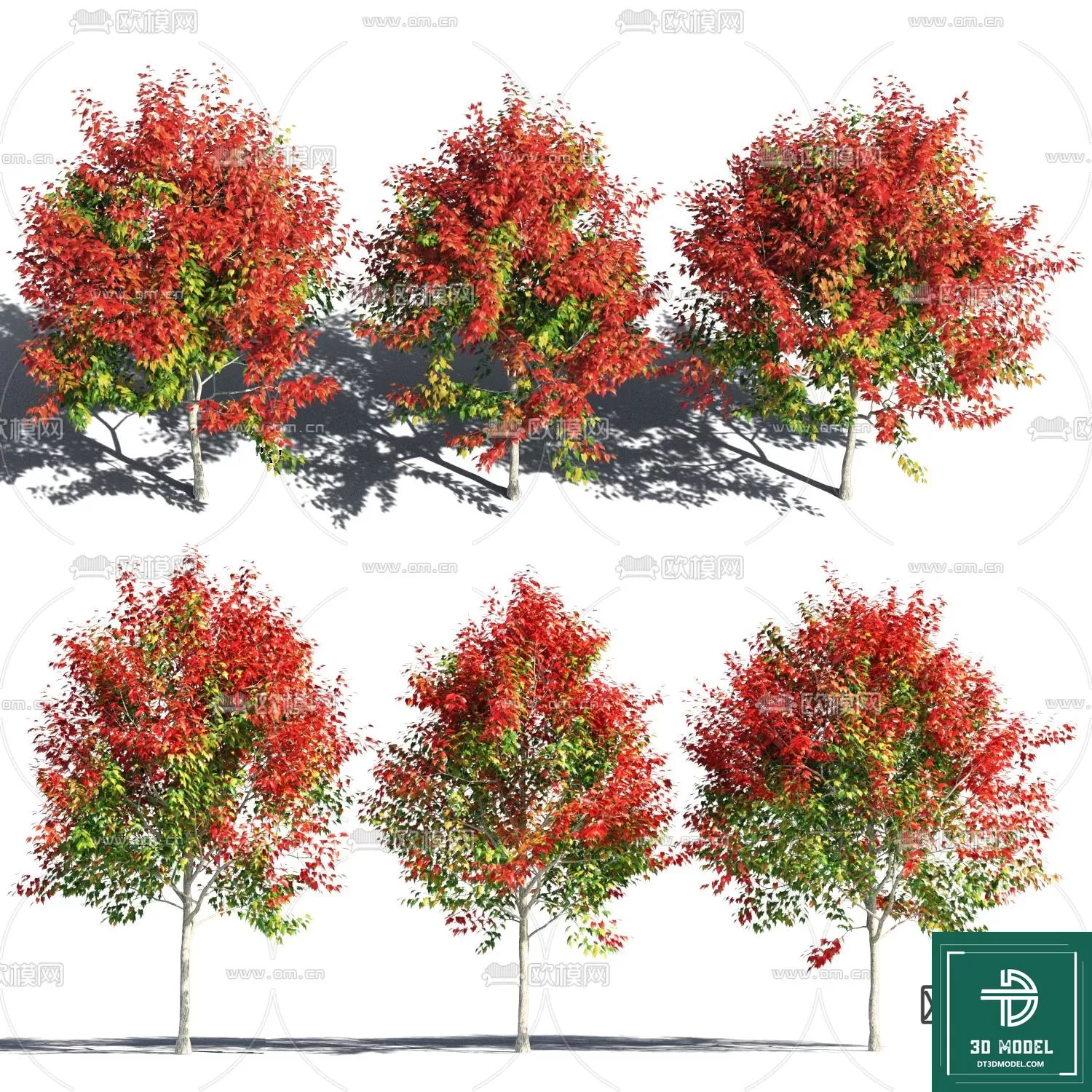 EXTERIOR – TREE – 3D MODELS – 057