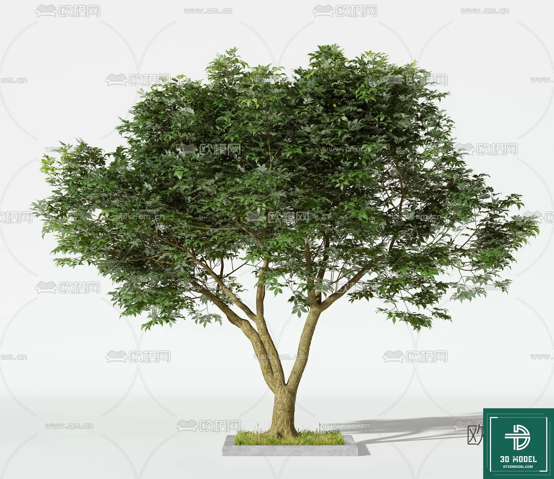 EXTERIOR – TREE – 3D MODELS – 058