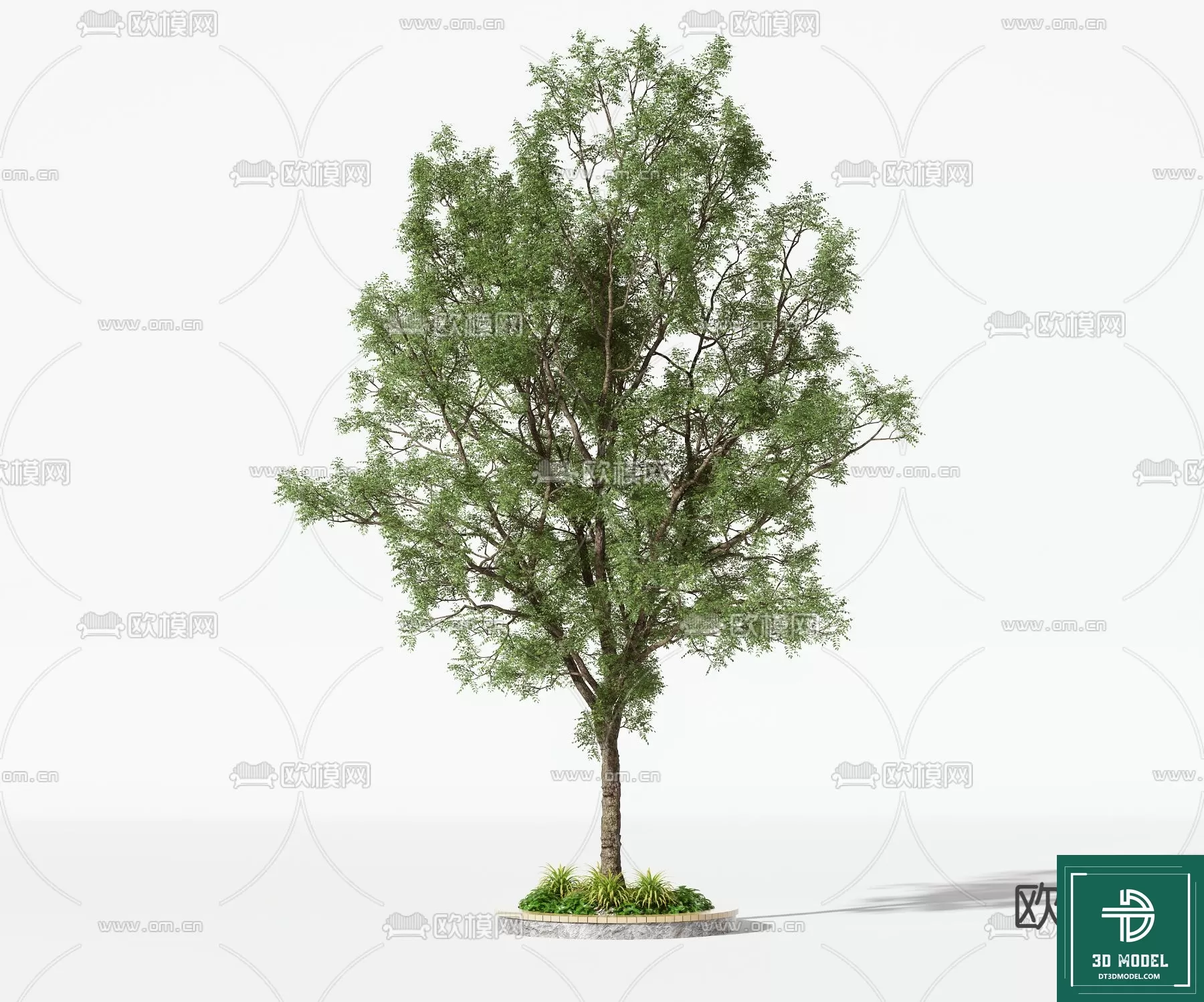 EXTERIOR – TREE – 3D MODELS – 061