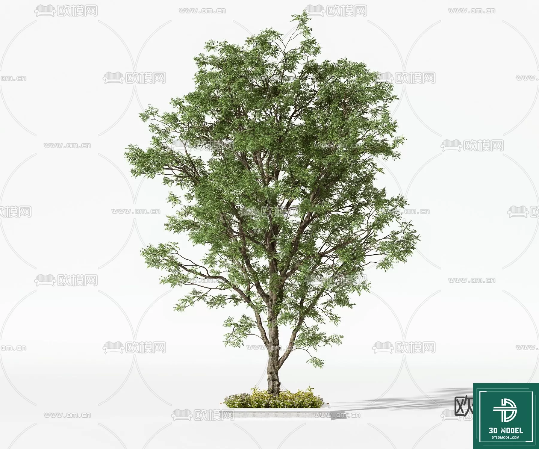 EXTERIOR – TREE – 3D MODELS – 062