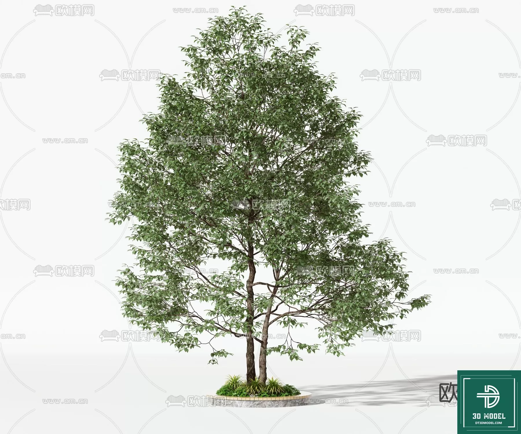 EXTERIOR – TREE – 3D MODELS – 065