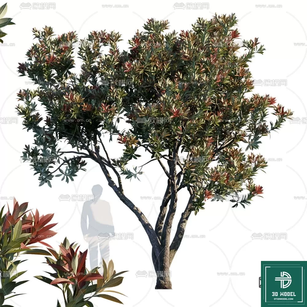 EXTERIOR – TREE – 3D MODELS – 070