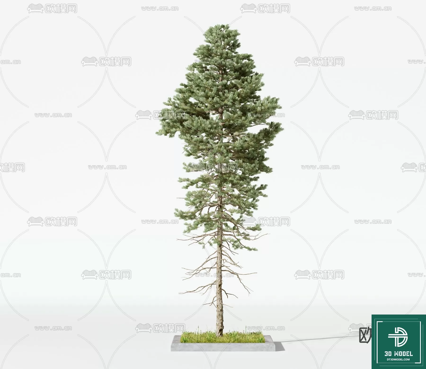 EXTERIOR – TREE – 3D MODELS – 073