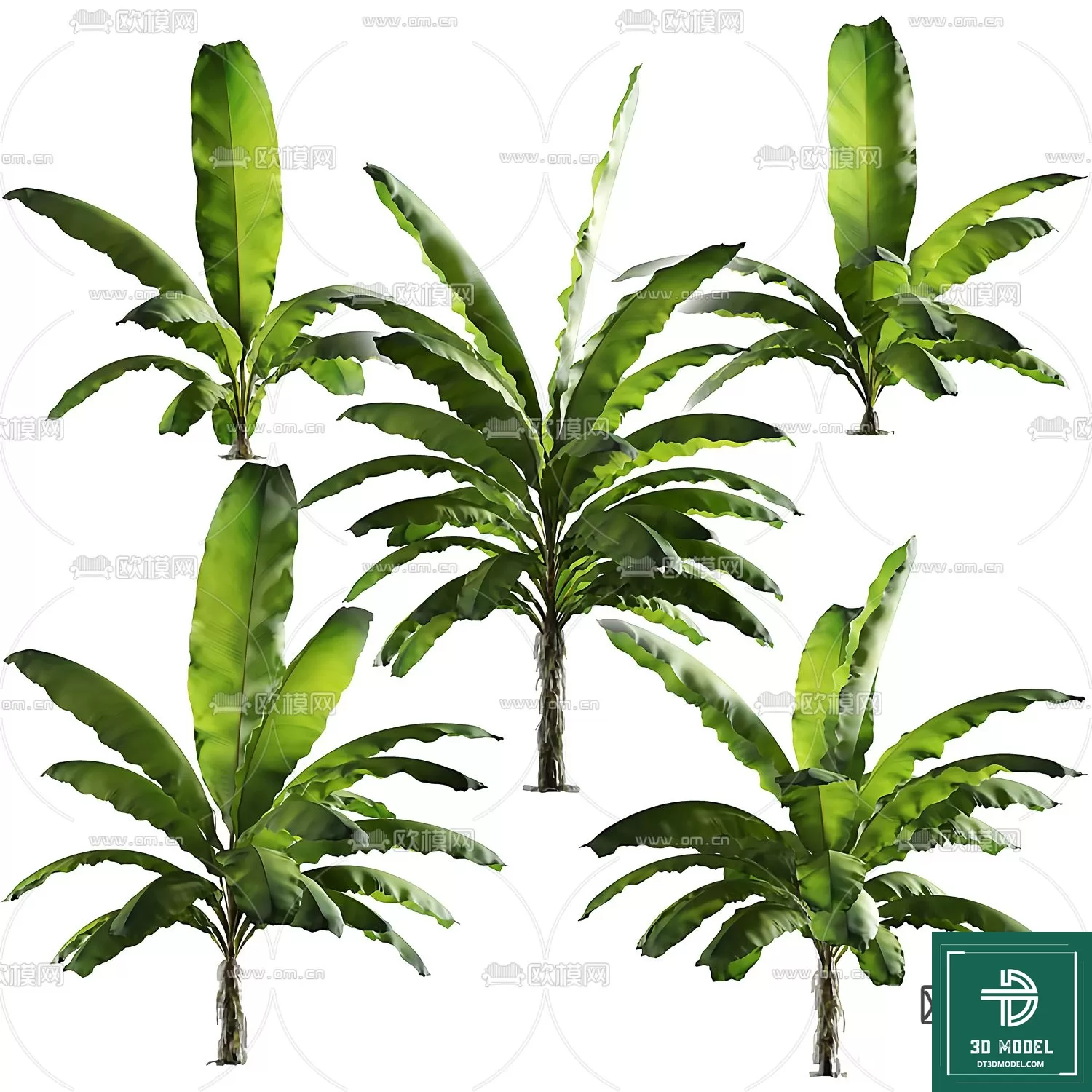 EXTERIOR – TREE – 3D MODELS – 075