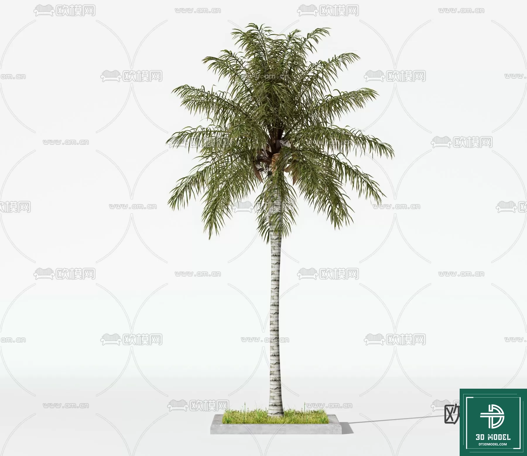 EXTERIOR – TREE – 3D MODELS – 080